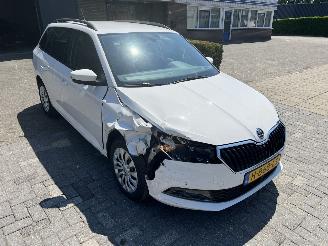 Skoda Fabia Combi 1.0 TSI Bus. Edition picture 5