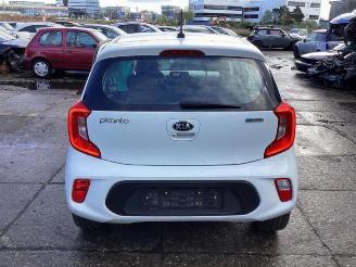 Kia Picanto Picanto (JA), Hatchback, 2017 1.0 12V picture 4