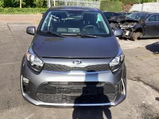 Kia Picanto Picanto (JA), Hatchback, 2017 1.0 DPi 12V picture 2