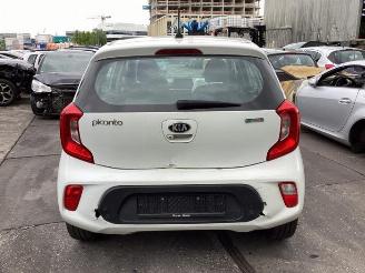 Kia Picanto Picanto (JA), Hatchback, 2017 1.0 12V picture 6