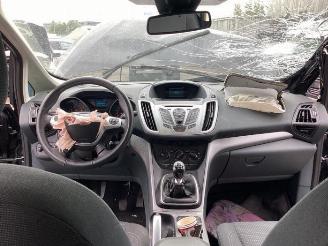 Ford C-Max C-Max (DXA), MPV, 2010 / 2019 1.0 Ti-VCT EcoBoost 12V 100 picture 17