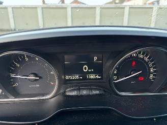 Peugeot 208 ROLAND GARROS picture 12