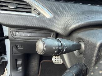 Peugeot 208 ROLAND GARROS picture 17