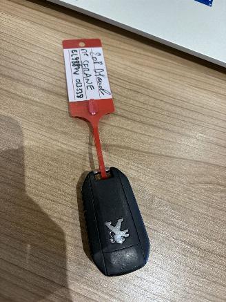 Peugeot 208 ROLAND GARROS picture 27