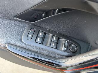 Peugeot 208 ROLAND GARROS picture 21