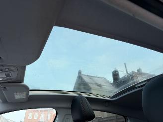 Peugeot 208 ROLAND GARROS picture 8