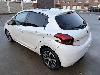 Peugeot 208 ROLAND GARROS picture 4