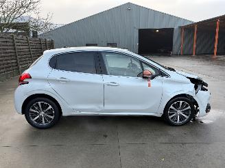 Peugeot 208 ROLAND GARROS picture 25