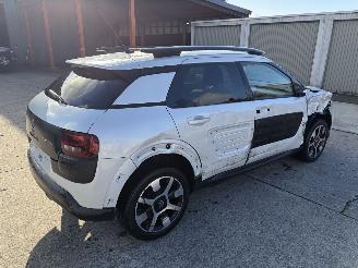 Citroën C4 cactus  picture 5
