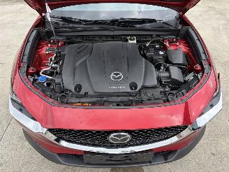 Mazda CX-30 1 2.0i - 16V TURBO HYBRID picture 18