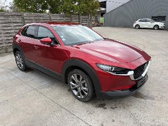Avarii autoturisme Mazda CX-30 1 2.0i - 16V TURBO HYBRID 2019/12