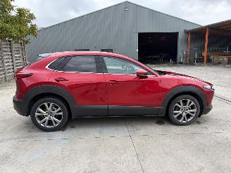 Mazda CX-30 1 2.0i - 16V TURBO HYBRID picture 23