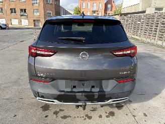 Opel Grandland X TURBO D 1.6 CDTi picture 18