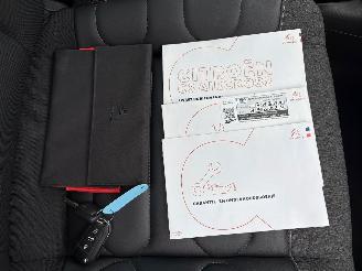 Citroën C3 Aircross 1.2 PureTech Shine | Automaat Panoramadak picture 25