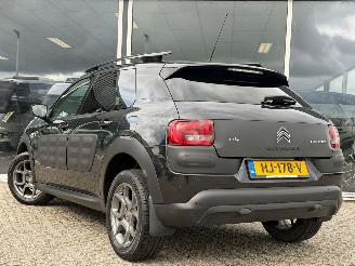 Citroën C4 cactus 1.2 PureTech Shine picture 6
