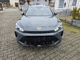Cupra Formentor VZ 245 kW picture 12