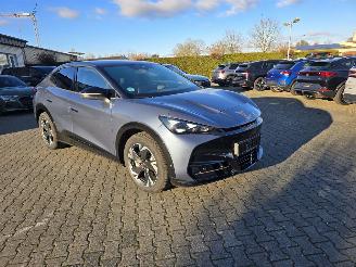 Auto incidentate Cupra Tavascan Cupra Tavascan 210 kW Endurance 2025/8