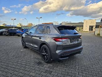 Skoda Elroq RS 250 kW picture 3