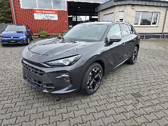 Cupra Terramar Hybride picture 3