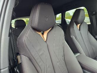 Cupra Terramar Hybride picture 25