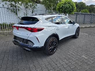 Schadeauto Cupra Formentor VZ 245 kW PANORAMA 2025/11