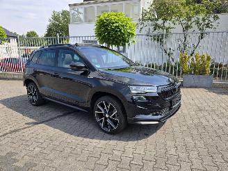 Unfallwagen Skoda Karoq  2024/2