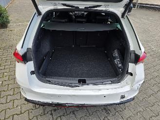 Skoda Octavia RS 195 kW picture 11