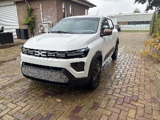 Dacia Spring extreme picture 13