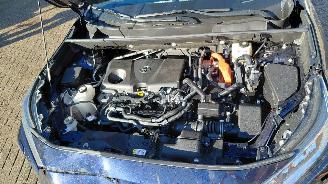 Toyota Rav-4 2.5 hybrid  179kw   navi  clima  4x4 picture 15