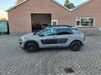 Citroën C4 cactus 1.2I 110PK NAVI  SHINE picture 4