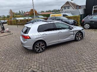 Volkswagen Golf 1.4  e hybrid gte   165kw  pano navi picture 10