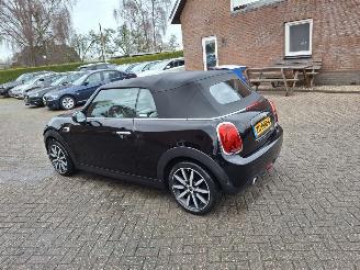 Mini Cabrio 1.5i  100kw  cooper navi cabrio picture 4