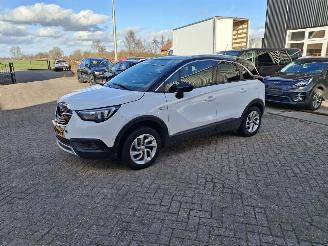 Schadeauto Opel Crossland 1.2i turbo  81kw automaat navi   clima 2019/5