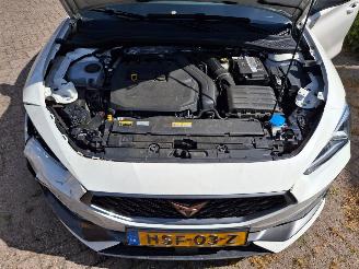 Auto incidentate Cupra Leon 1.5 tsi  hybrid   110kw navi  edition  clima 2023/6
