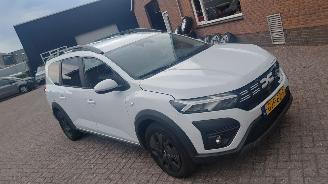 Schadeauto Dacia Jogger 1.0 tce  110pk navi 7 zitter 2024/8