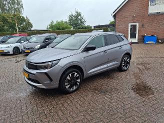Coche accidentado Opel Grandland 1.6 hybrid plug in     navi clima 2023/9