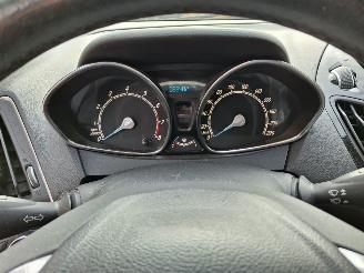 Ford B-Max 1.0i   74kw  navi clim picture 11