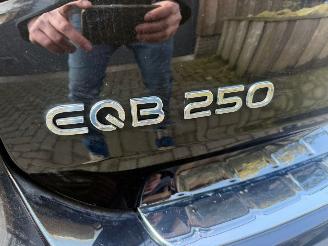 Mercedes EQB 250 AMG LINE 67 KWH  PANO VOL OPTIES picture 7