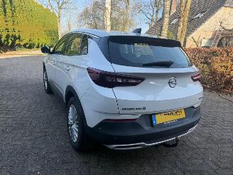 Opel Grandland X 1.2 TURBO 120 JAAR picture 2