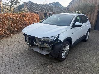 Opel Grandland X 1.2 TURBO 120 JAAR picture 8