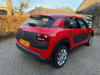 Citroën C4 cactus 1.2 AIRCO NAVI CRUISE NAP picture 5