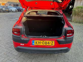 Citroën C4 cactus 1.2 AIRCO NAVI CRUISE NAP picture 15