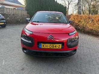 Citroën C4 cactus 1.2 AIRCO NAVI CRUISE NAP picture 12