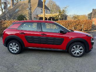 Citroën C4 cactus 1.2 AIRCO NAVI CRUISE NAP picture 3