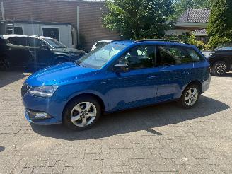 Skoda Fabia 1.0 TSI CLEVER AIRCO NAVI CRUISE picture 7