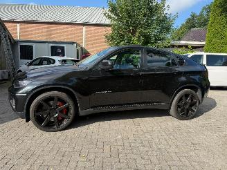 BMW X6 XDRIVE 50I 8CIL PANO LEER picture 9