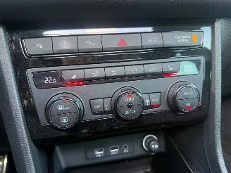 Cupra Ateca 2.0 TSI 300PK PANO BEATS picture 25