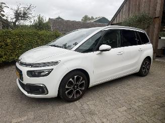 Coche accidentado Citroën C4 SPACETOURER 7P NAVI CAMERA 2019/12
