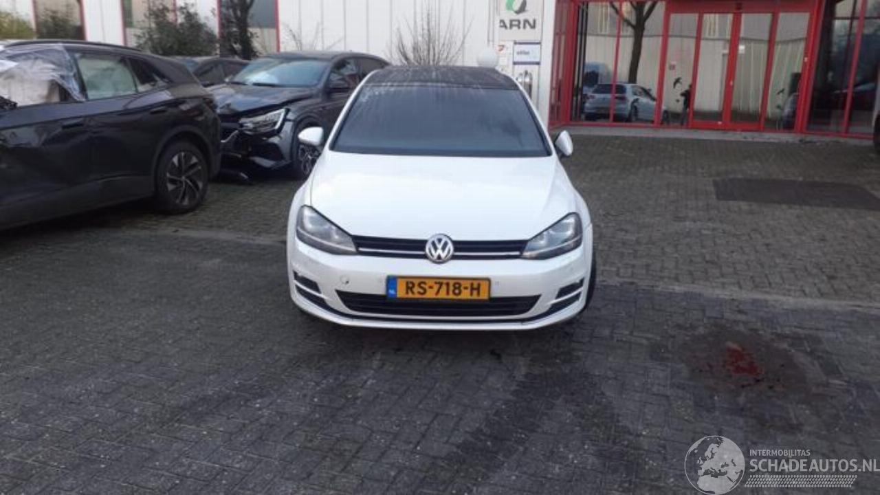 Volkswagen Golf Golf VII (AUA), Hatchback, 2012 / 2021 1.4 TSI 16V