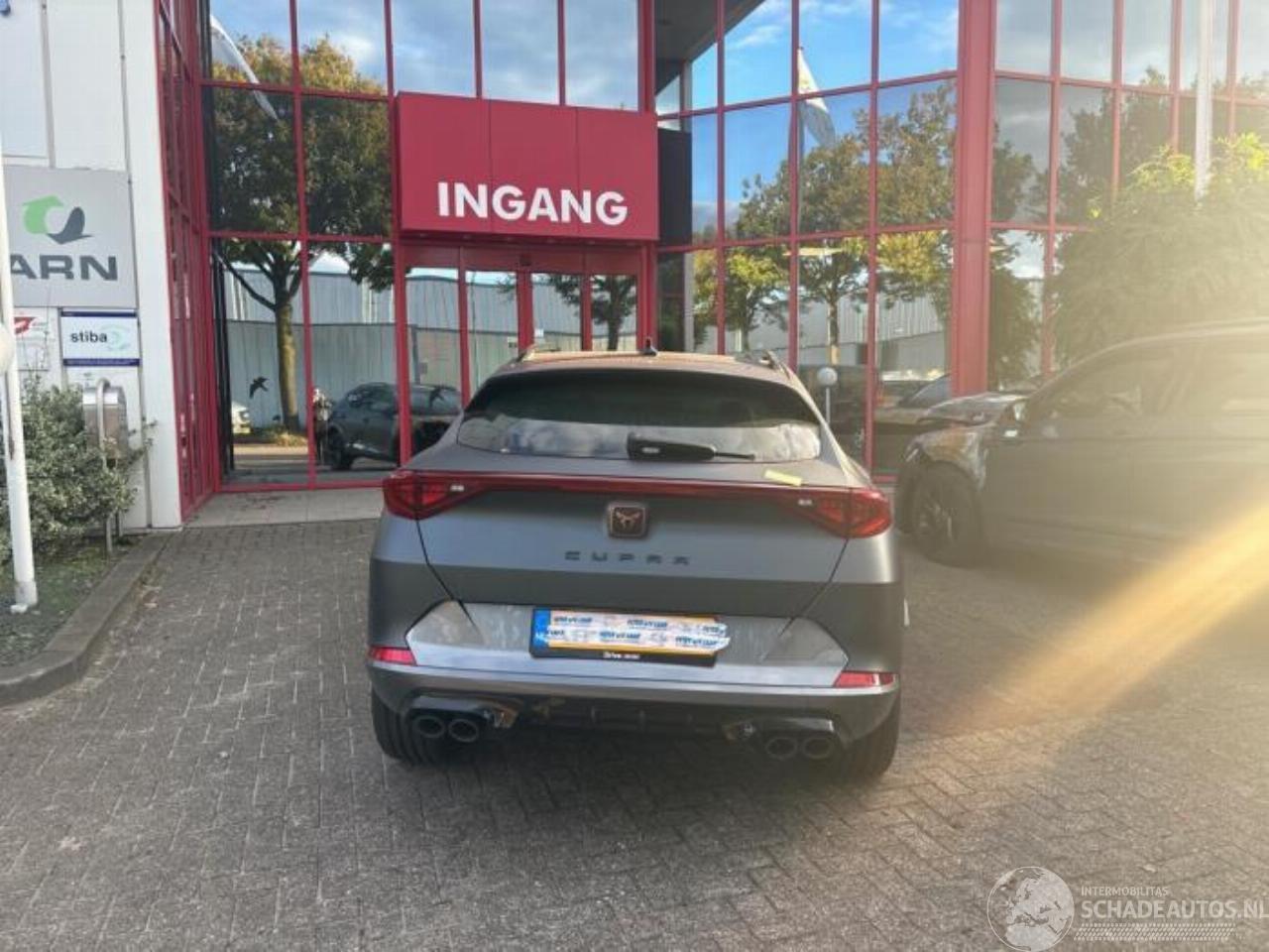 Cupra Formentor Formentor, SUV, 2020 2.0 TSI 16V 4Drive